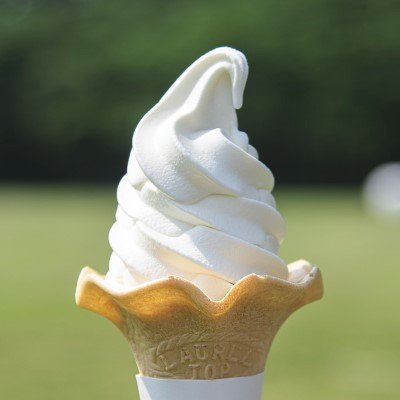 生乳の甘さが広がる こだわりのソフトクリーム 那須千本松牧場